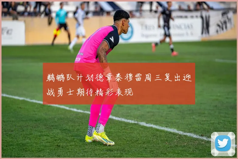 鹈鹕队计划德章泰穆雷周三复出迎战勇士期待精彩表现